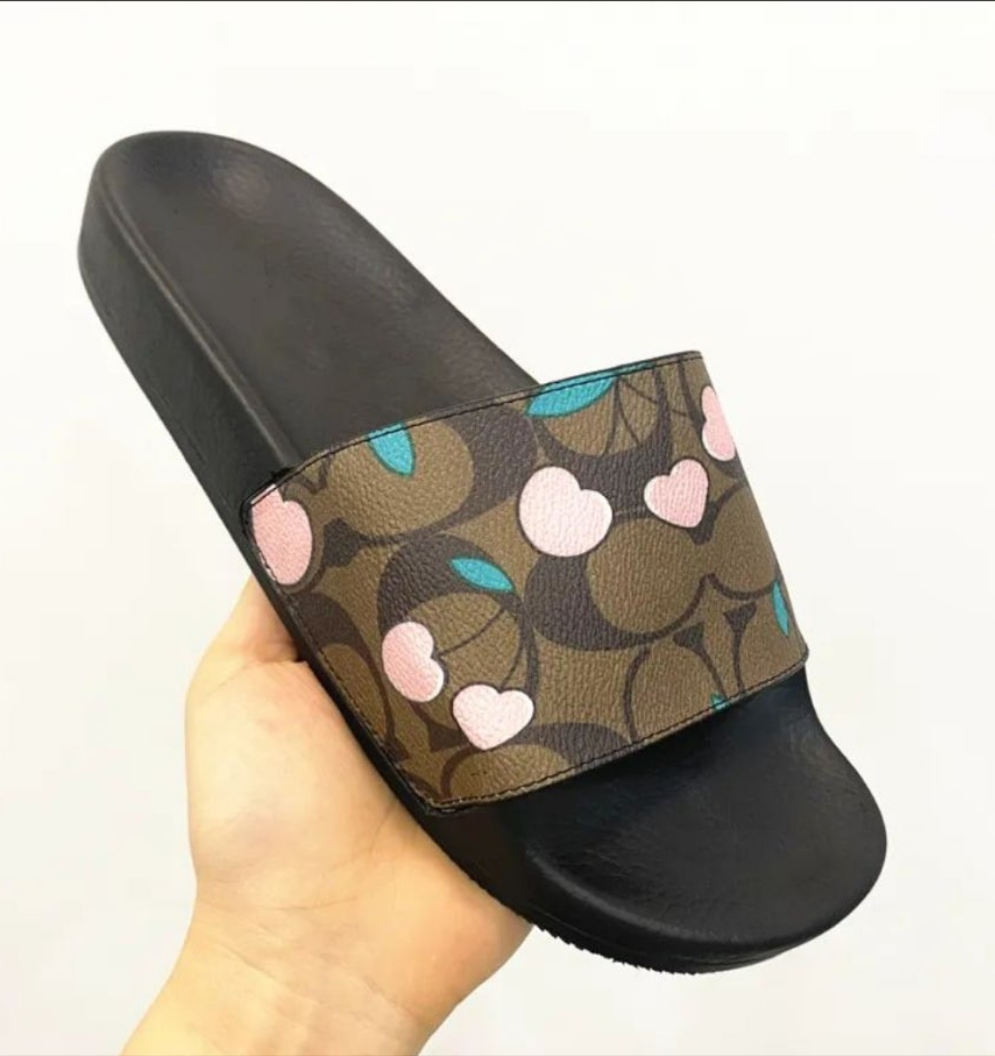CH SLIDES