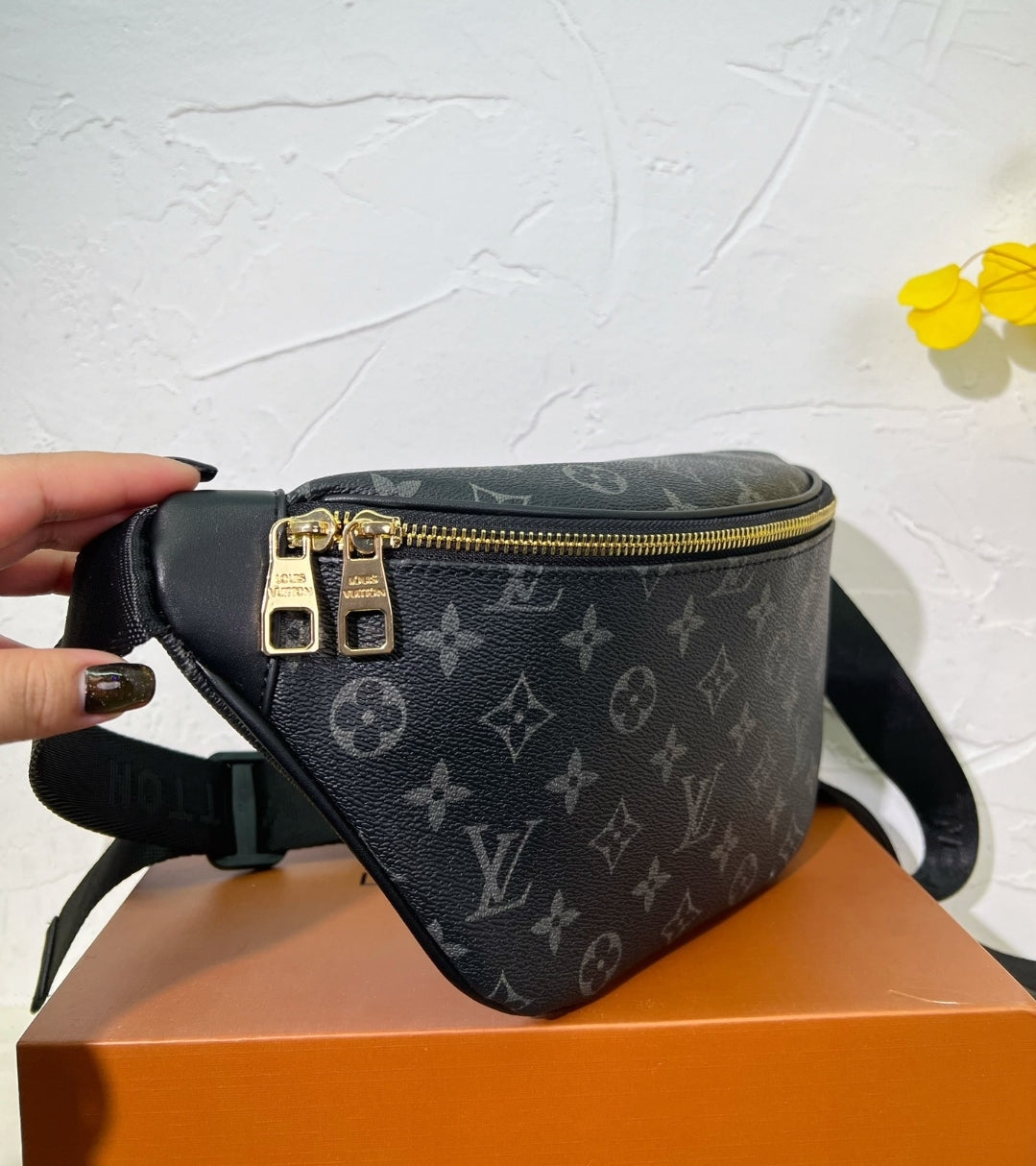 LV FANNIE PACK BAGS 73240100