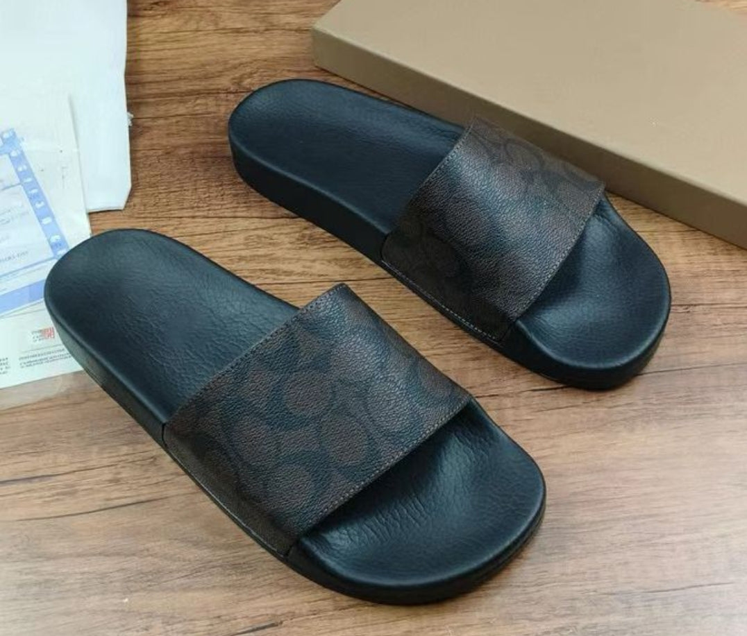 CH SLIDES
