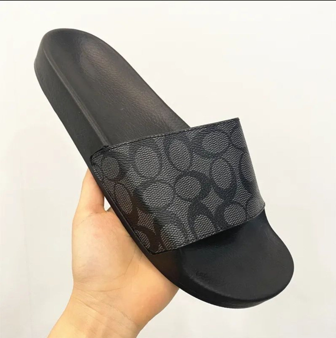 CH SLIDES