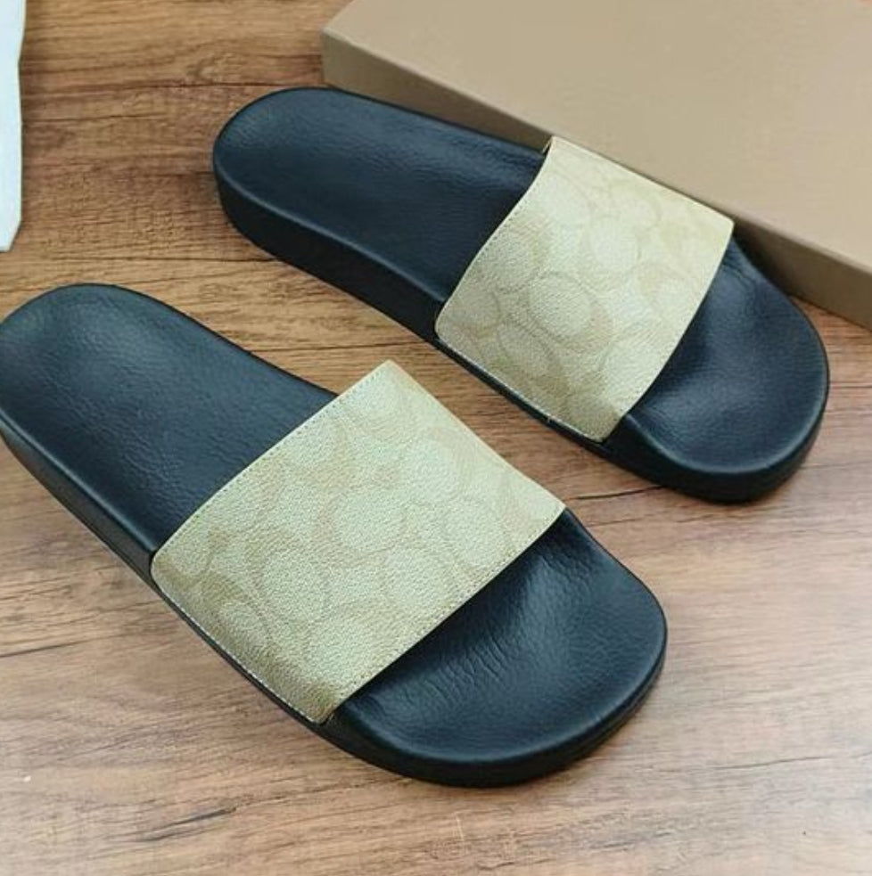 CH SLIDES
