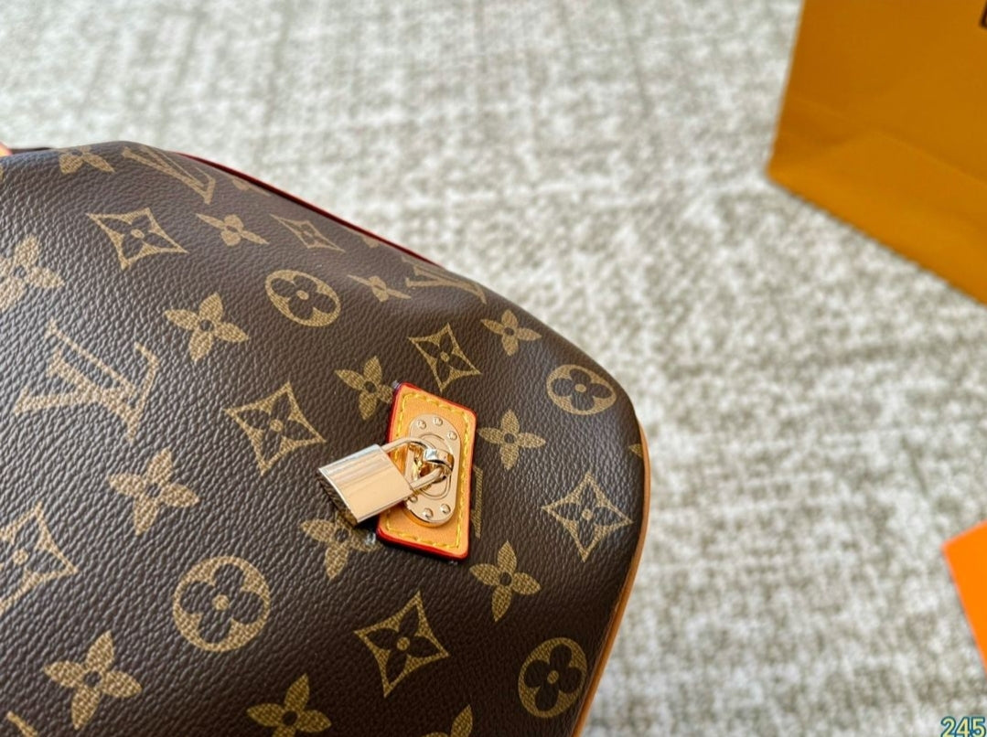 LV HOBO BAG