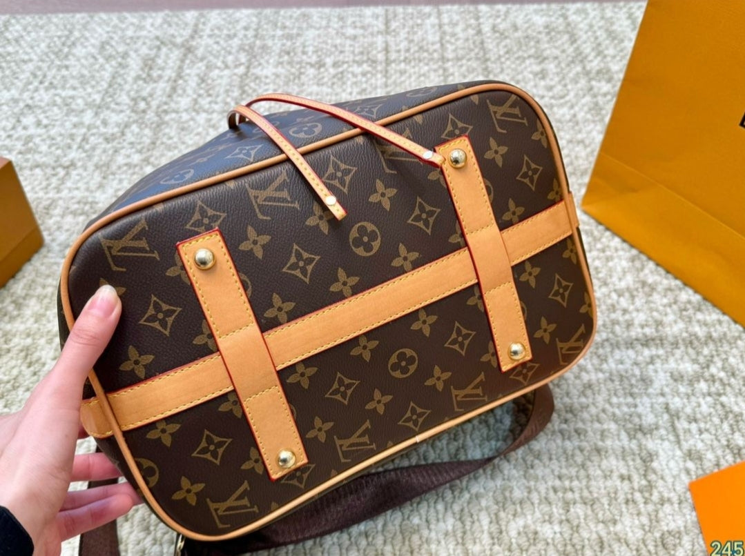 LV HOBO BAG