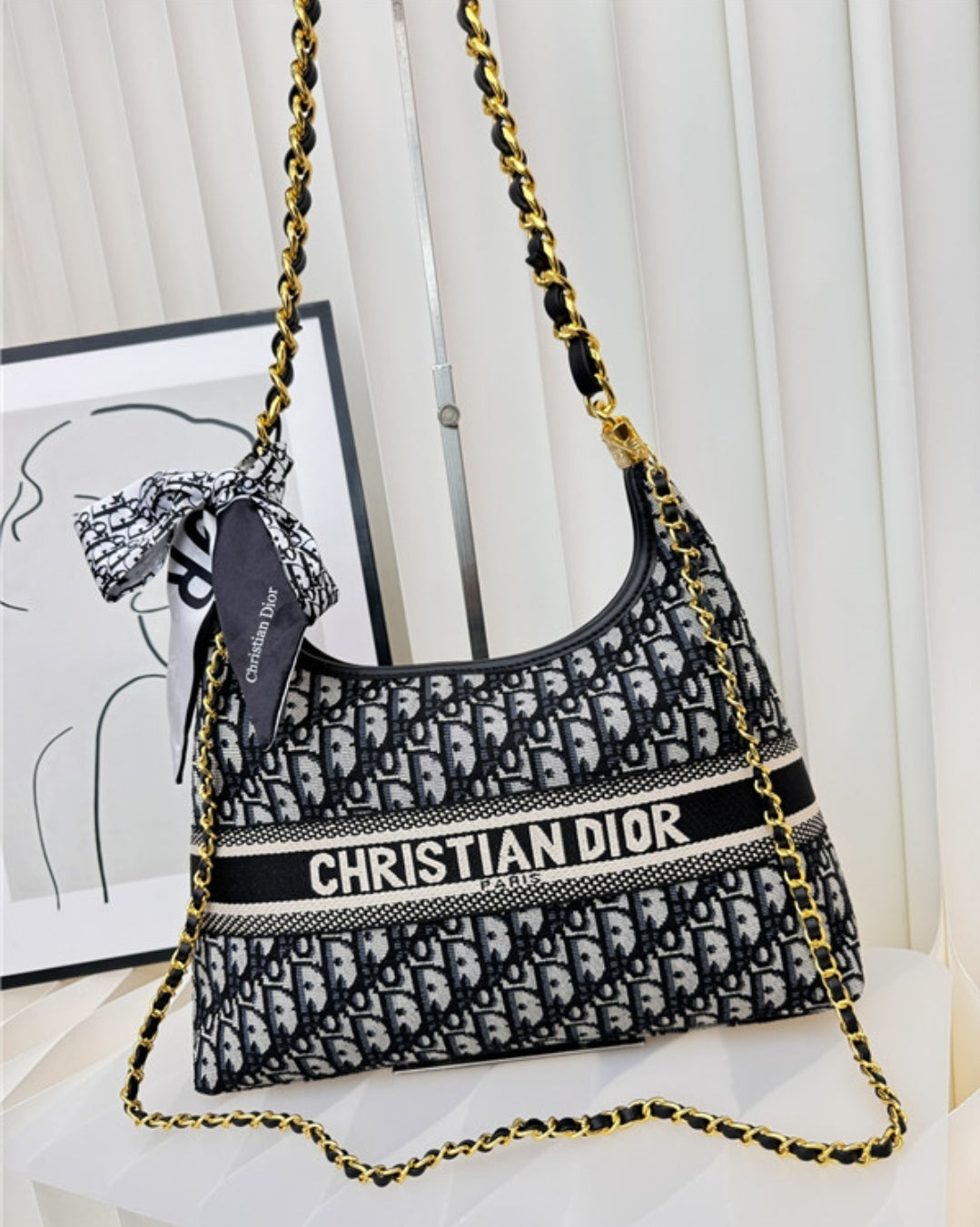 CD HOBO CROSSBODY BAGS 8668