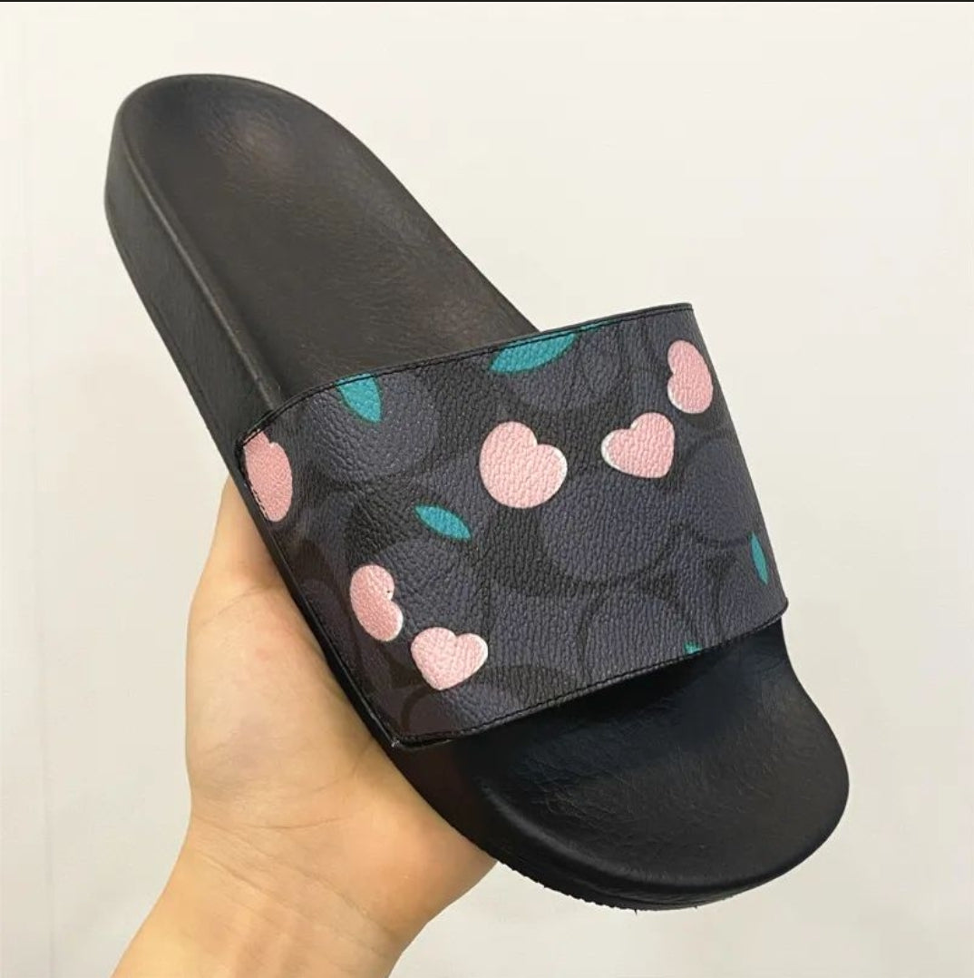 CH SLIDES