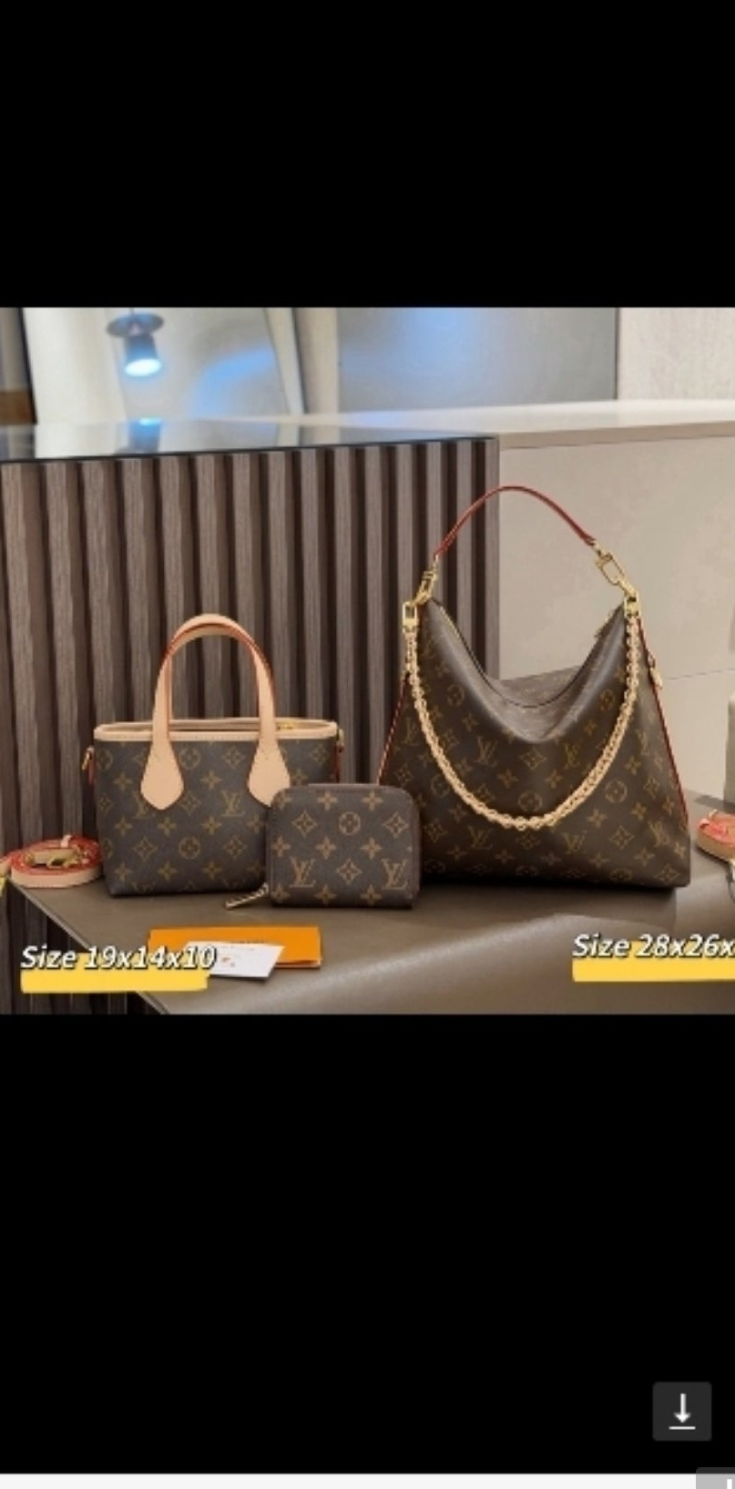 LV or HOBO OR CROSSBODY BAG OR WALLET