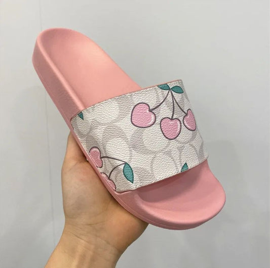 CH SLIDES