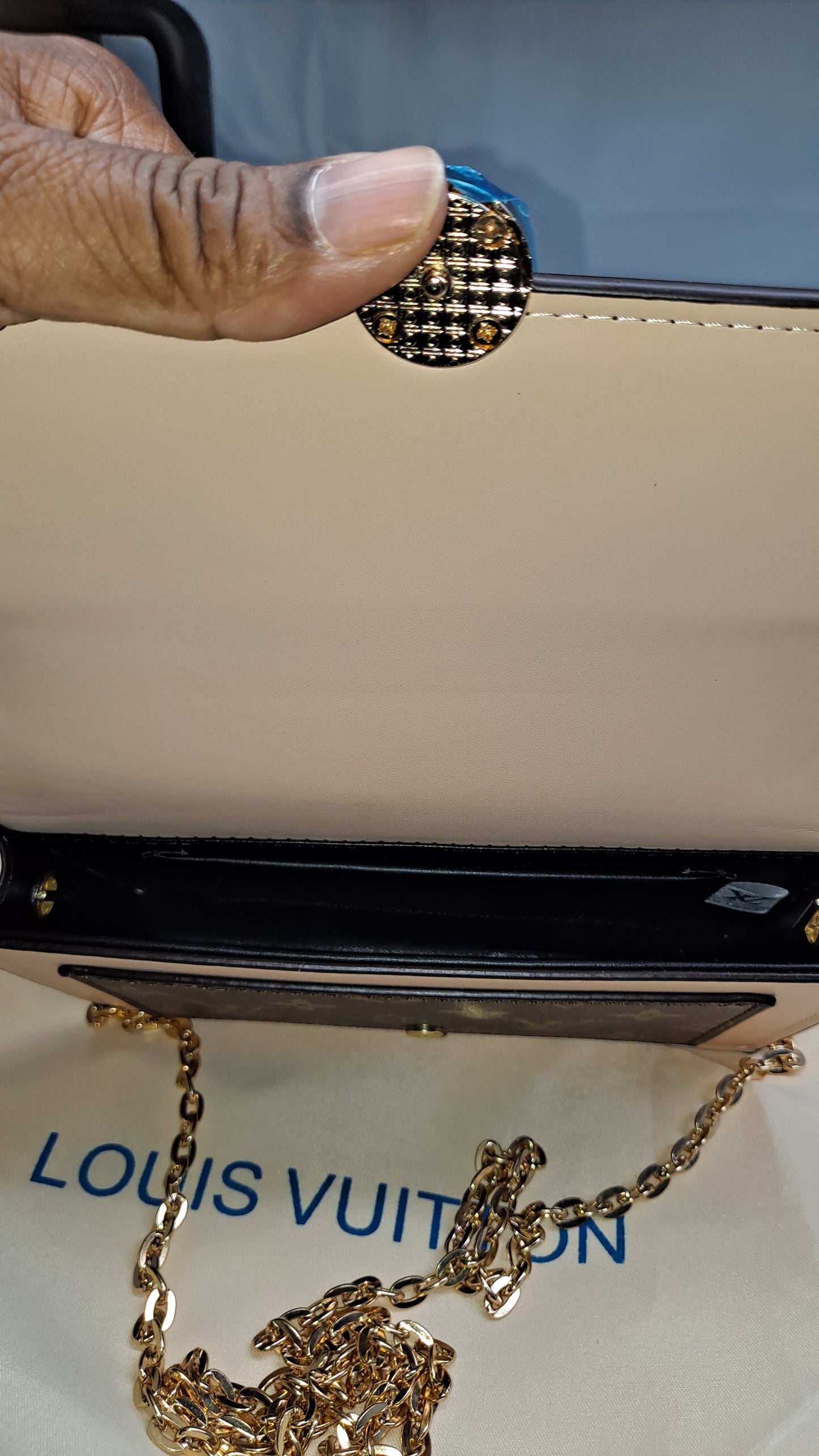 LV or HOBO OR CROSSBODY BAG OR WALLET